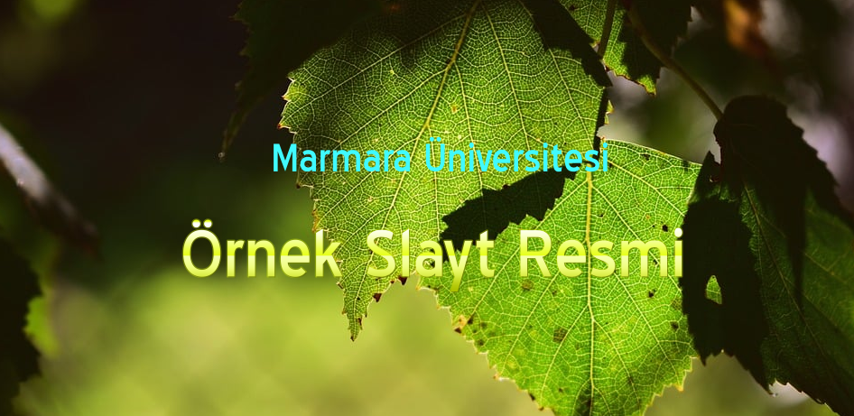 Bu kısma engelli ziyaretçilerimiz için bilgi girilmesi zorunludur.